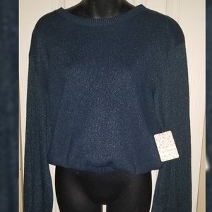 NWT FREE PEOPLE CROP GLITTER SWEATER